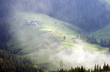 山高地貌喀尔巴阡山 乌克兰蓝色晴天爬坡农村薄雾场地土地观光小路森林图片