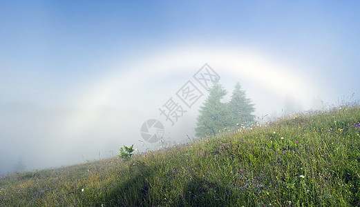 山高地貌喀尔巴阡山 乌克兰日落农村土地蓝色爬坡农业小路地标松树场地图片