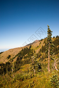 飓风脊环境爬坡森林公园山坡季节树木高度场地草地背景图片