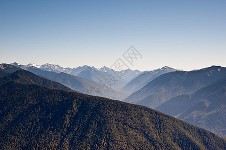 飓风脊森林公园树木绿色季节环境山坡场地半岛爬坡背景图片