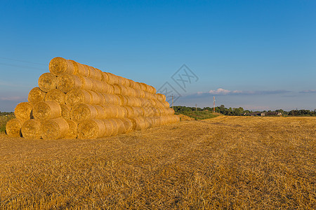 在蓝天空的田地上铺满干草篮玉米场地干草蓝色稻草农田草垛季节植物谷物图片