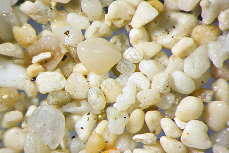 沙粒微摄影学砂粒粮食谷物材料形状形式照片显微镜矿物质石头背景图片