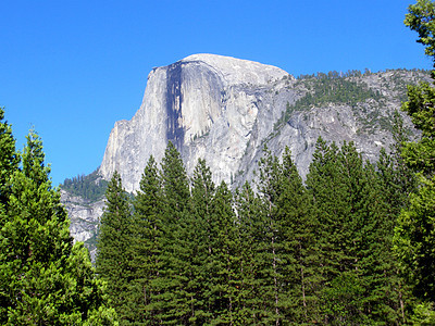 Yosemite 半圆顶松树森林假期花岗岩纪念碑岩石地标顶峰山脉天空图片