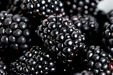 黑莓甜美细节食物季节柳条水果小吃甜点蓝色金银花浆果叶子图片