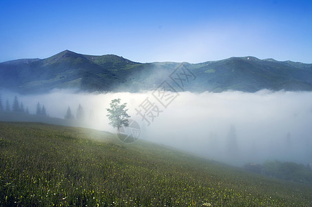 山高地貌喀尔巴阡山 乌克兰日落森林草地全景房子晴天地标蓝色葡萄园彩虹图片