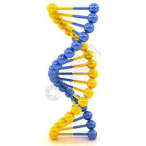 黄黄色蓝色DNA分子微生物学公式遗传学细胞技术螺旋药品评价化学旗帜图片