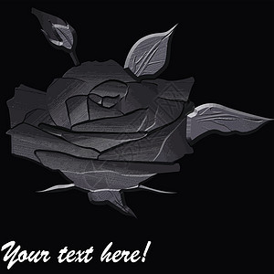 黑底玫瑰花朵图片