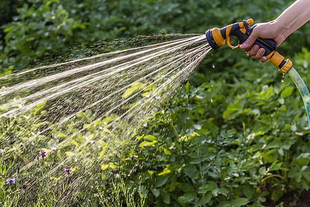 浇水花园洒水器喷射摄影动作灌溉手臂液体喷涂农业软管图片