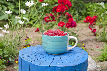 木干上蓝色陶瓷杯中的新鲜甜莓图片