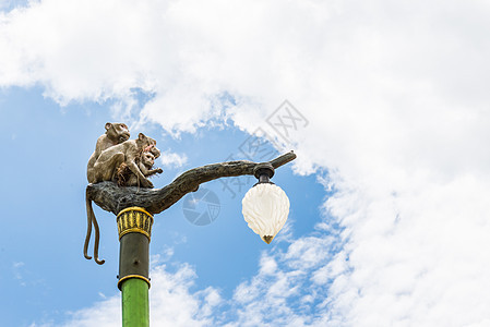 蓝天灯柱上的猴子家族雕像野生动物原始人情绪知识分子灵长类动物猩猩演讲生态衬套图片