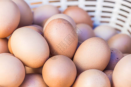 蛋贮存圆形早餐动物烹饪黄色杂货包装棕色盒子图片