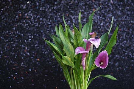 紫色卡丽花黑色绿色花束树叶火花图片