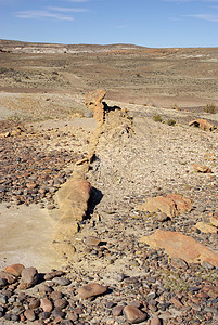 巴塔哥尼亚的被石化森林沙漠化石荒野木头地质学矿物树干国家干旱植物学图片