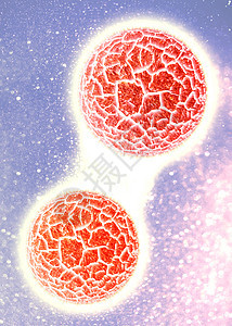 3d 细胞病毒药品健康疾病癌症细胞实验肝炎显微镜宏观生活图片