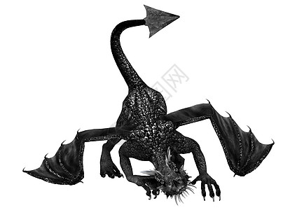 黑龙魔法尾巴故事童话生物孩子蜥蜴翅膀白色黑色图片