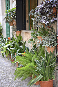 典型的地中海村庄 瓦尔法卡德有花盆街道建筑假期城市植物群旅游百叶窗村庄别墅石工图片