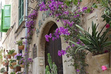 典型的地中海村庄 瓦尔法卡德有花盆花朵房子窗户别墅观光旅游植物假期村庄乡村图片
