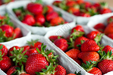新鲜草莓食物植物甜点美食种子农场烹饪藤蔓叶子饮食图片