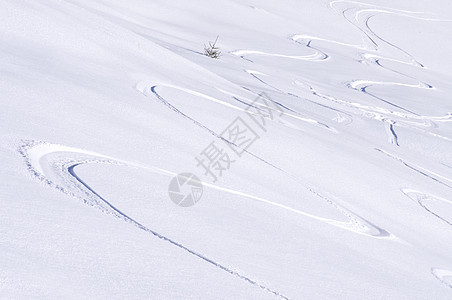 雪上粉雪上的长脚铁轨图片