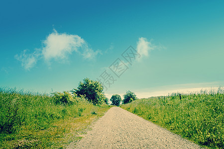 美丽的自然道路和蓝天空图片