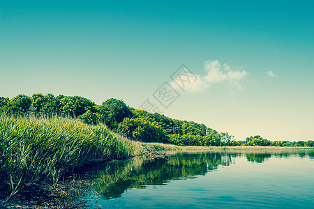 带绿树的湖泊风景阳光天空海岸海岸线场景森林地形海洋太阳支撑图片