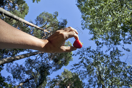 手握草莓叶子天空甜点水果食物森林女孩红色蓝色手指图片