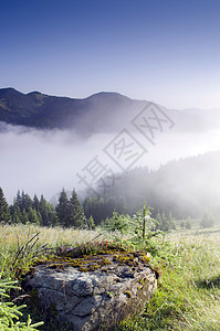 山高地貌喀尔巴阡山 乌克兰蓝色地平线薄雾农村全景云杉草地小路高地葡萄园图片