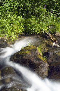 喀尔巴阡山流水流荒野运动公园苔藓植物木头石头岩石天空森林图片