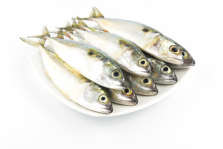 新鲜竹鱼钓鱼居住尾巴白色海洋鲭鱼营养盐水餐厅海鲜图片