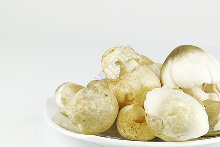 白色背景的草蘑菇宏观蔬菜棕色稻草烹饪食物营养美食饮食图片