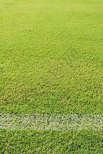 绿草草足球场地面闲暇土地团队植物草地绿色运动白色操场图片