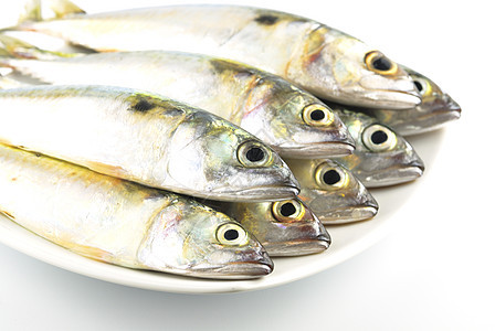 新鲜竹鱼营养盐水餐厅鲭鱼海鲜居住食物白色钓鱼海洋图片