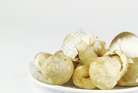 白色背景的草蘑菇营养宏观蔬菜饮食棕色稻草食物烹饪美食图片