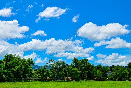 夏季风景场景乡村美丽公园天空蓝色草地树木花园森林图片