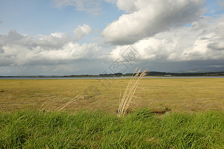 福德湾天空绿色土地沼泽环境风景图片