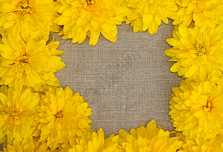 粗布背景下黄色花朵的边框花瓣雏菊边界乡村大丽花美丽空白团体收藏框架图片
