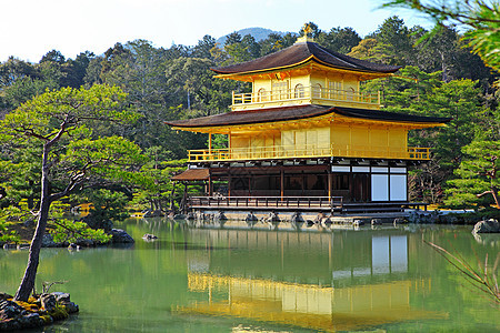 京都金馆花园池塘反射建筑学金子地标松树历史公园旅行图片