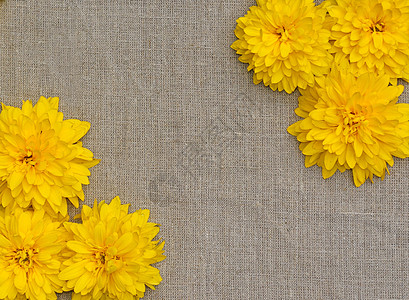粗布背景下黄色花朵的边框花瓣框架团体边界乡村空白大丽花纺织品雏菊收藏图片