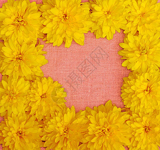 粉色布面背景下黄色花朵的边框金子粗布纺织品乡村收藏雏菊空白团体边界大丽花背景图片
