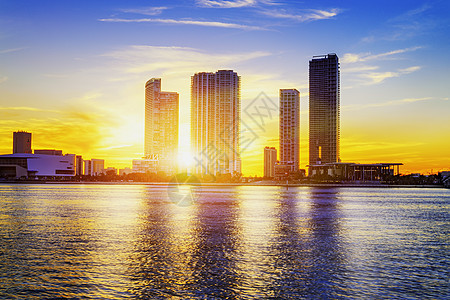 夜里在迈阿密市场景全景景观都市建筑学摩天大楼反射城市天际日落图片