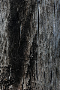 旧木质木板桌子控制板墙纸木材骨折木头织物宏观裂缝图片