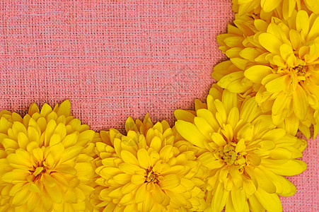 粉色布面背景下黄色花朵的边框粗布收藏空白雏菊纺织品金子乡村团体花瓣框架图片