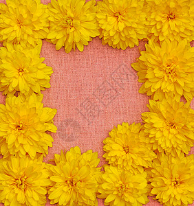 粉色布面背景下黄色花朵的边框框架花瓣金子空白收藏美丽大丽花边界纺织品乡村图片