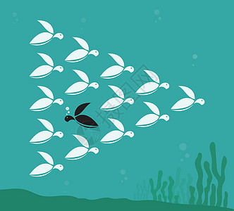 在海中游泳的海龟群的矢量图像团体珊瑚社区蓝色野生动物乌龟旅行动物团队插图图片