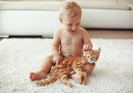 托德勒玩猫猫游戏房子男生尿布动物生活微笑地面活动快乐婴儿图片