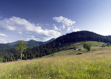 山高地貌喀尔巴阡山 乌克兰葡萄园全景森林木头爬坡土地地平线草地蓝色彩虹图片