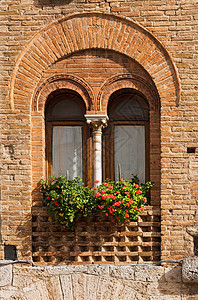 意大利锡耶纳托斯卡纳旅游花朵旅行世界遗产地标村庄历史房子双孔窗台图片