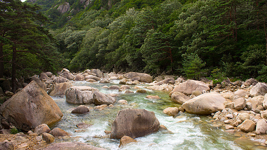 Kumgang 山松树岩石天空石头森林图片