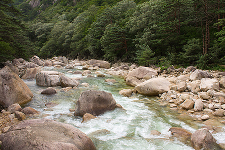 森林石头Kumgang 山石头松树森林天空岩石背景