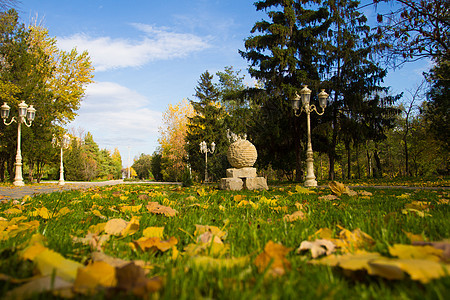 秋季城市公园股票照片木头黄色天空晴天红色季节城市树林树木风景图片